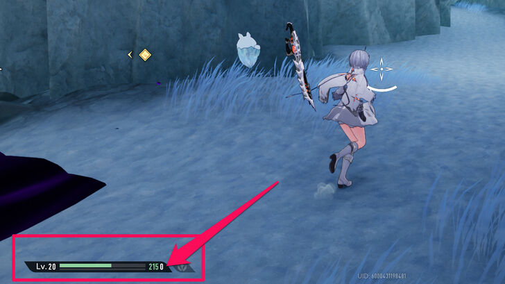 Duet Night Abyss no shields