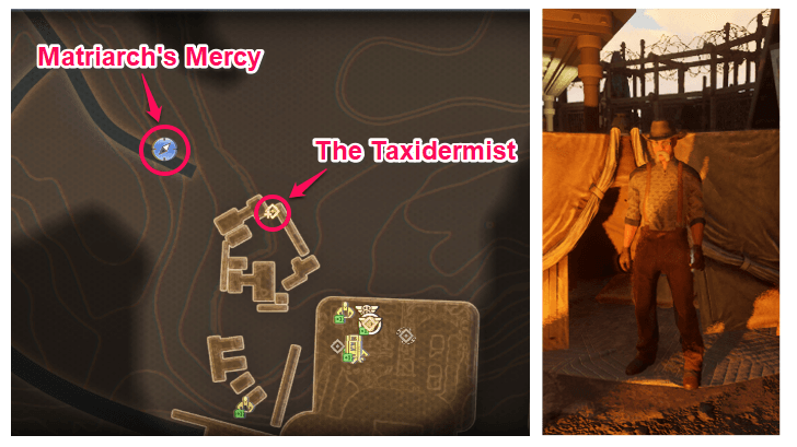 The Taxidermist Location