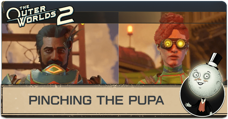 Pinching the Pupa Top Banner