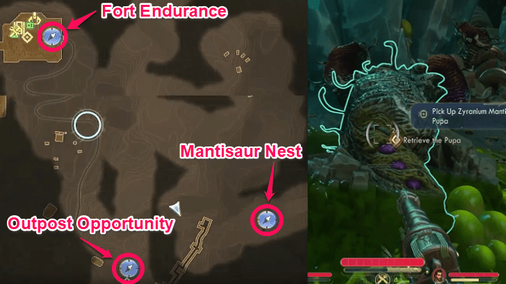 Mantisaur Pupa Location