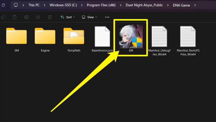 Duet Night Abyss EM launcher