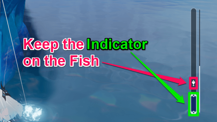 Fishing Minigame Details