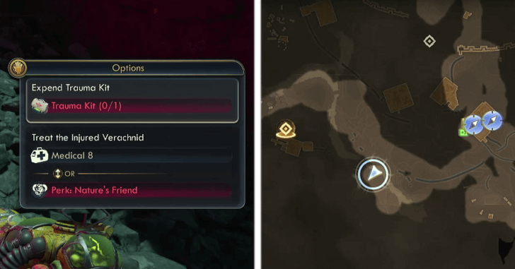 How to Get Desert Verachnid