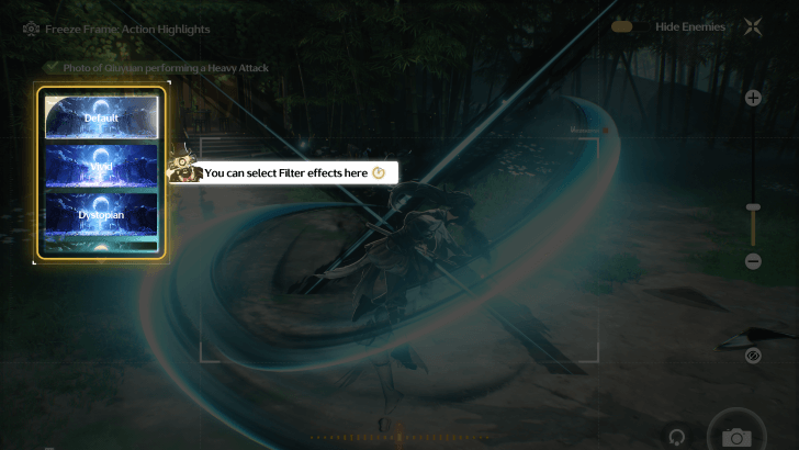 Freeze Frame Filters