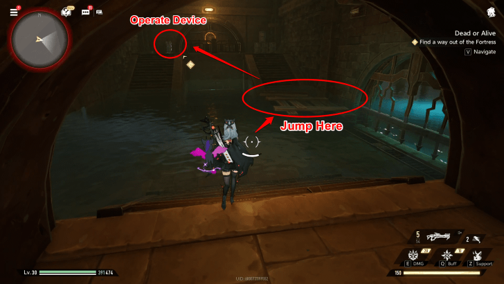 Duet Night Abyss Dead or Alive Platform