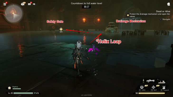 Duet Night Abyss Dead or Alive Safety Gate