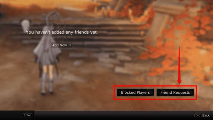 Friend Requests Feature DNA