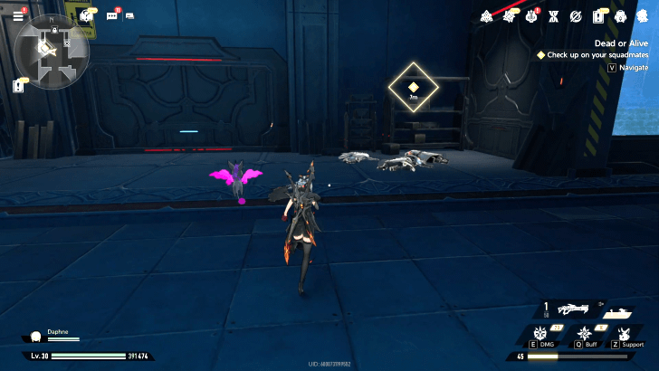 Duet Night Abyss Dead or Alive Squadmates