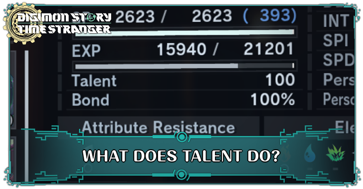 What Does Talent Do