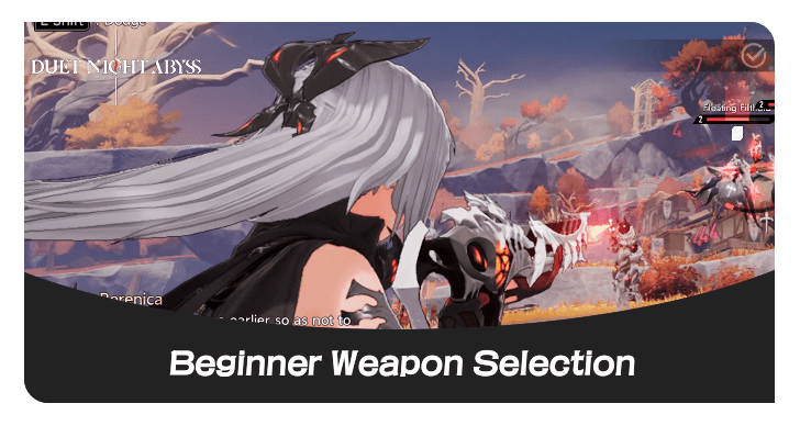 Duet Night Abyss - Beginner Weapon Selection.png