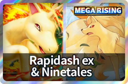 Rapidash ex and Ninetales Deck
