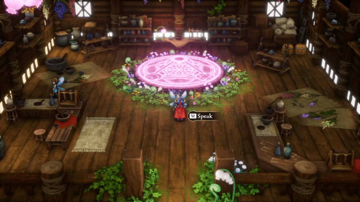 Faerie Village Overworld