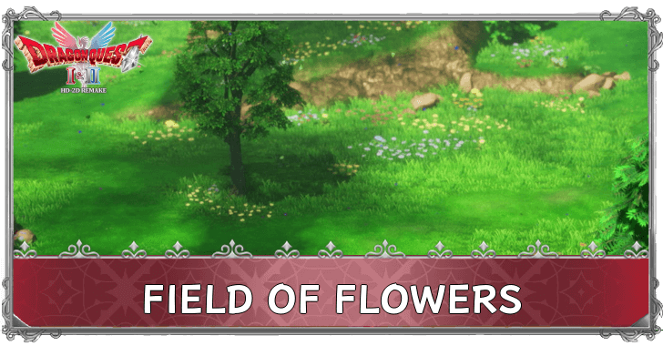 DQ1 - Field of Flowers