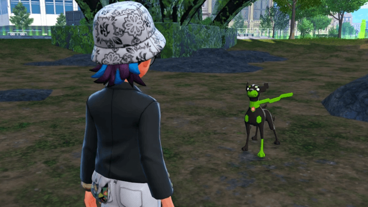 Zygarde at Wild Zone 20