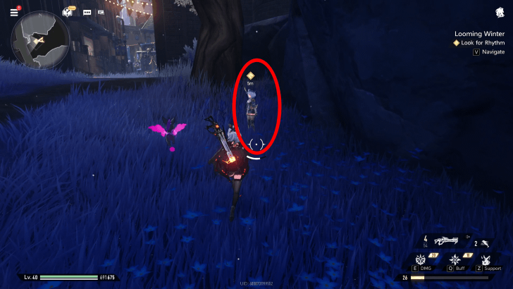 Duet Night Abyss Looming Winter Look for Rhythm