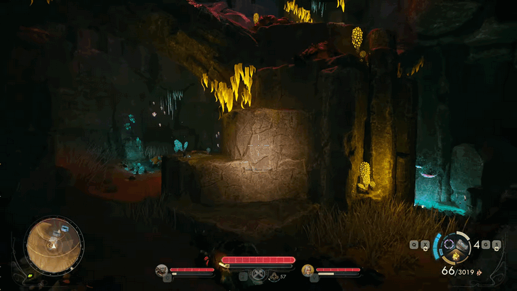 Rocks with yellow leaves