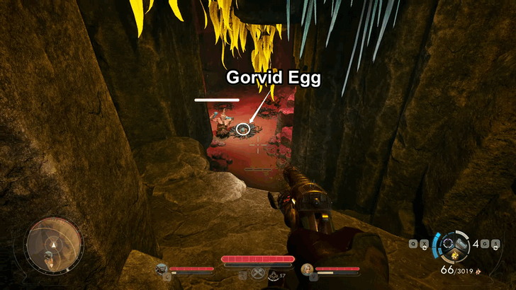 Gorvid Egg