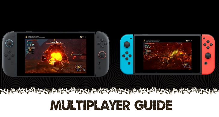 Multiplayer Guide