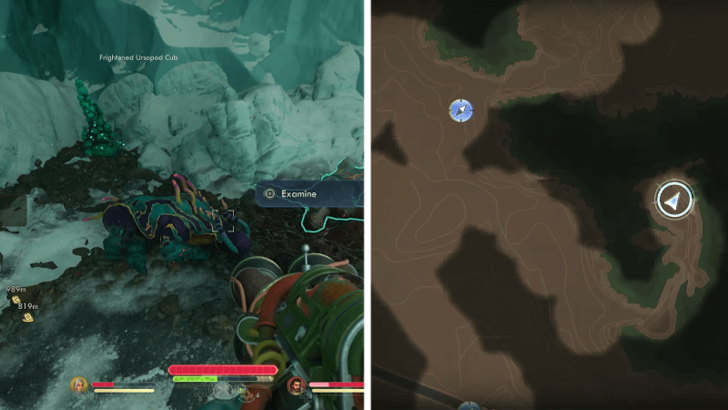 How to Get Ursopod Cub