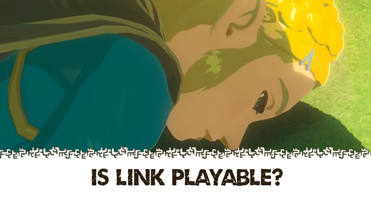 Is Link Playable in Hyrule Warriors Age of Imprisonment