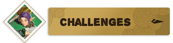 Challenges Partial