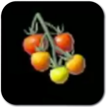 Hylian Tomato Image