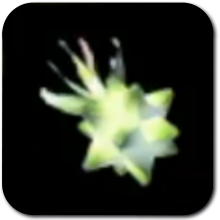 Age of Imprisonment Dazzlefruit