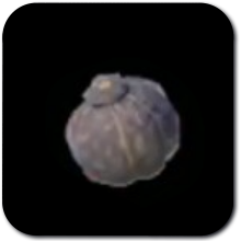 Hearty Truffle Image