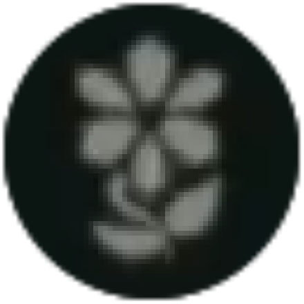 Hyrule Warriors Age of Imprisonment All Vegetables And Herbs