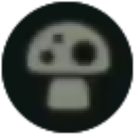 Hyrule Warriors Age of Imprisonment All Mushrooms