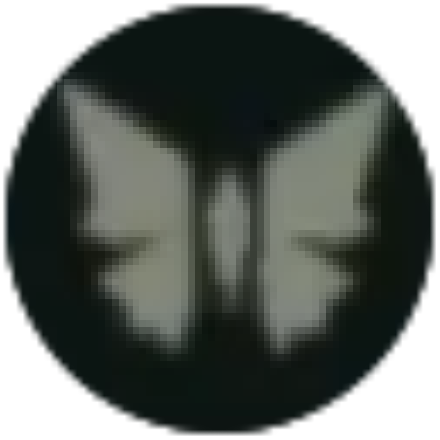 Hyrule Warriors Age of Imprisonment All Critters