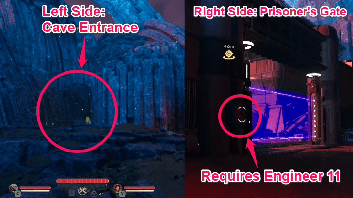 Central Control Pathways