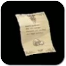 Age of Imprisonment Stone Pebblit Trophy