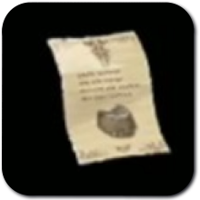 Age of Imprisonment Lynel Trophy