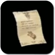 Age of Imprisonment Evermean Trophy