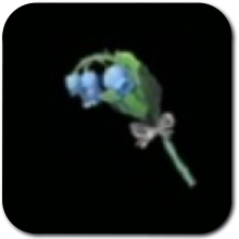 Blue Nightshade Image