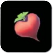 Big Hearty Radish Image