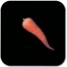 Swift Carrot Image