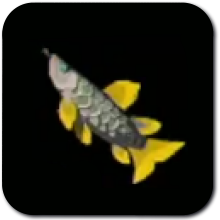 Hyrule Arowana Image