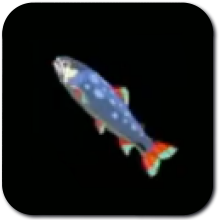 Stealthfin Trout Image