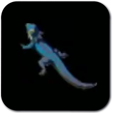 Hearty Lizard Icon
