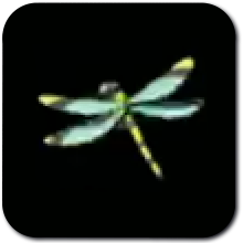 Age of Imprisonment Electric Darner