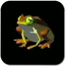 Tireless Frog Image