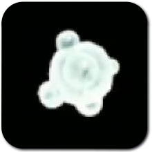 White Chuchu Jelly Image