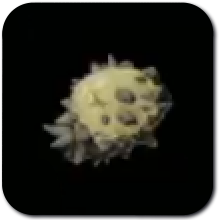 Moblin Horn Icon