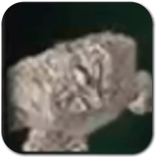 Stone Pebblit Icon