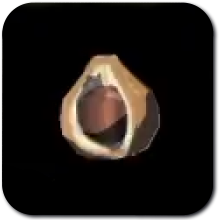 Chickaloo Tree Nut Image