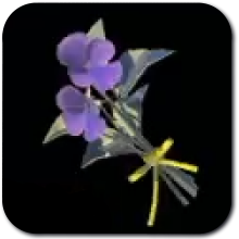 Swift Violet Image