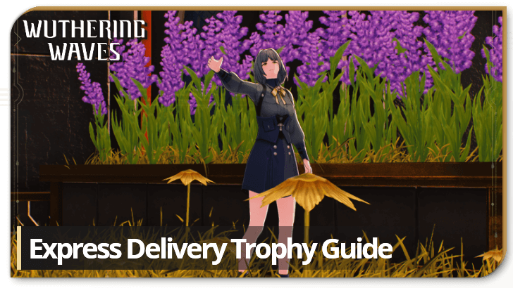 Wuthering Waves Express Delivery Trophy Guide