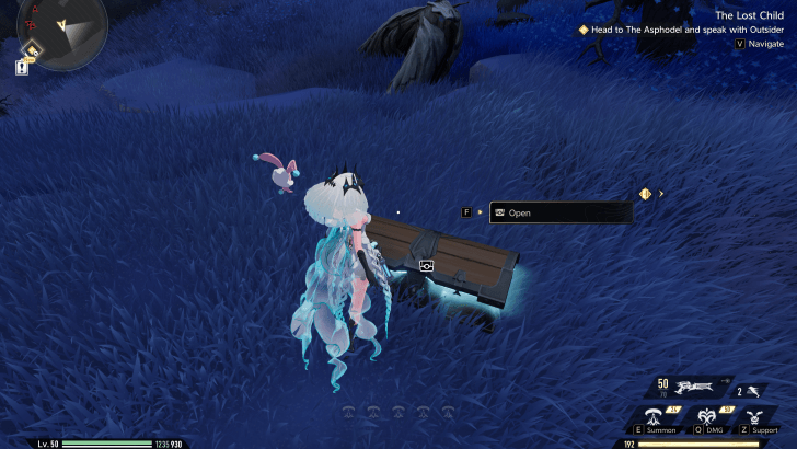 Chest in the Overworld